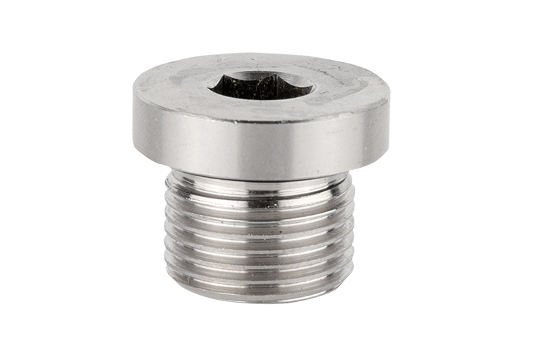 BTY-GDT...Hex socket plug